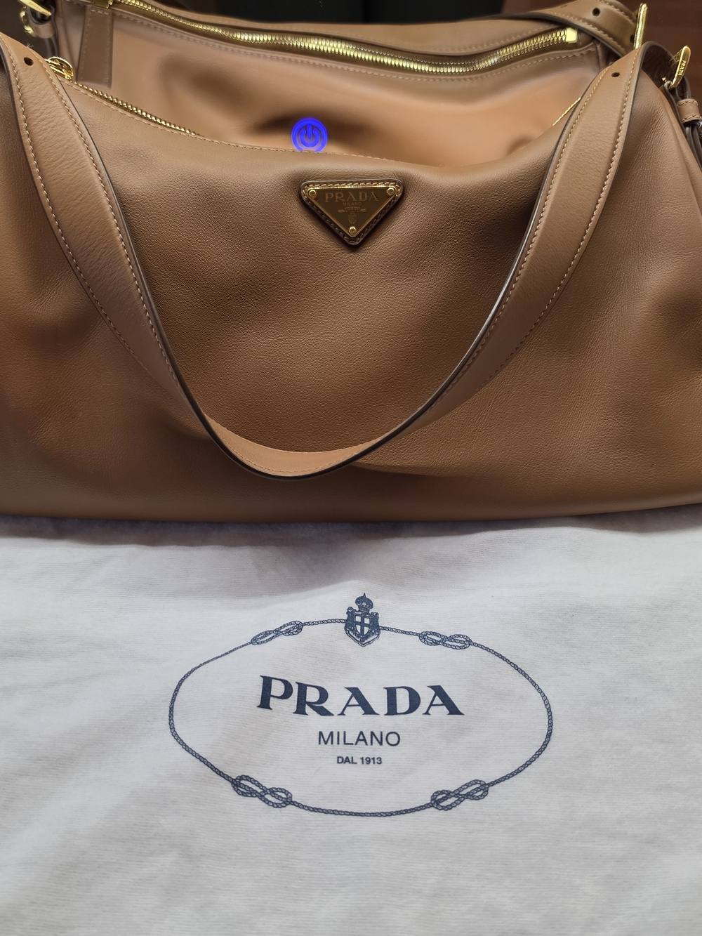 Prada Aimee Brown Leather Purse- Women's Designer Bag